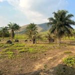 Kinshasa : l’État récupère plus de 43 000 hectares à Maluku pour un vaste projet d’aménagement urbain