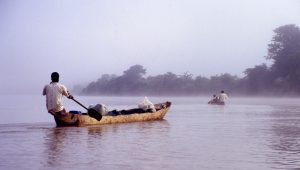 img_8554.jpg