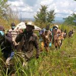 Mambasa : 43 civils tués dans une série d’attaques attribuées aux ADF