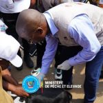 Lancement de la campagne de vaccination : Jean-Pierre TSHIMANGA dote la province du Sankuru d’un important lot de doses de vaccins pour le cheptel, de 8 motos, d’un véhicule 4×4 et de 4 congélateurs